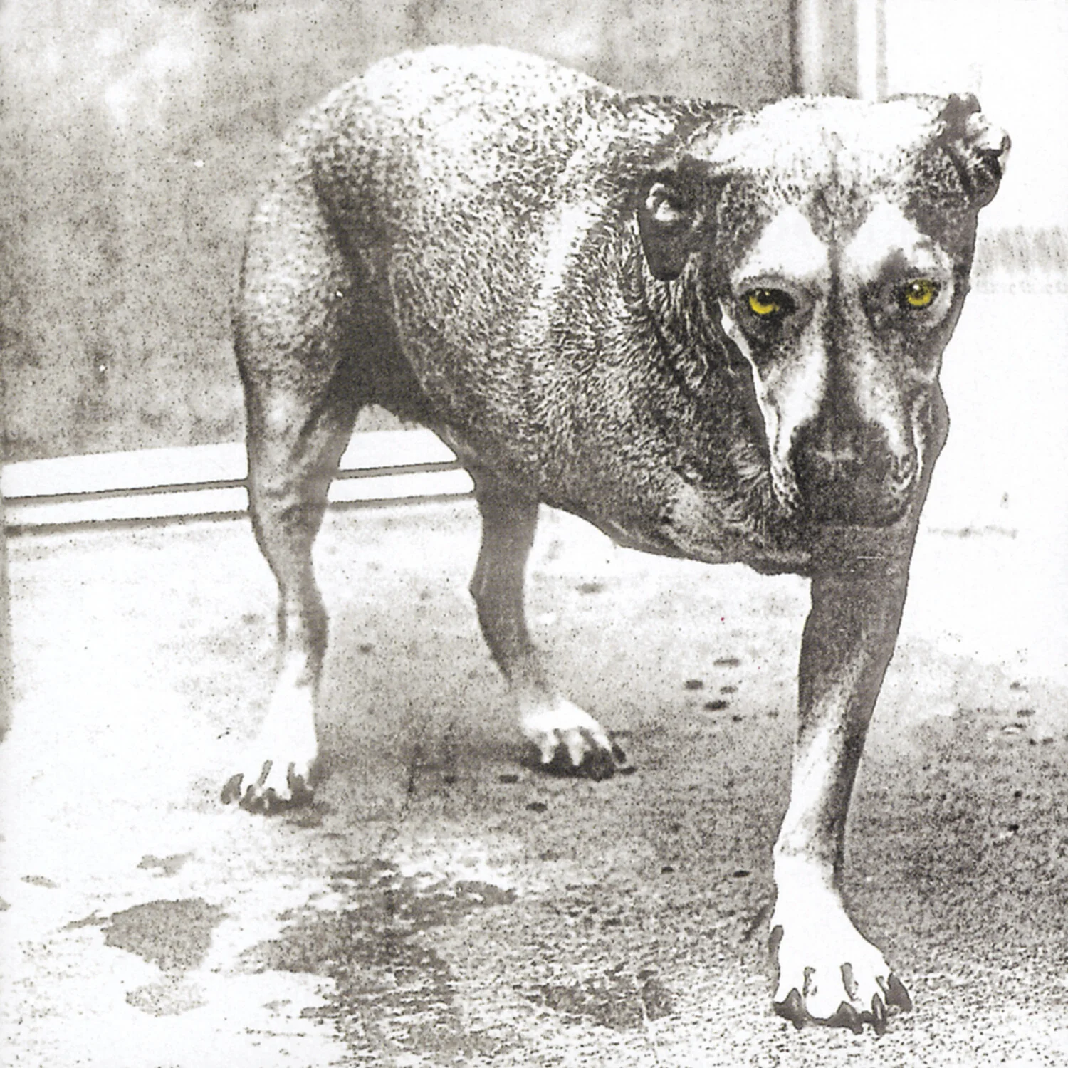 Alice in Chains: 30th Anniversary (Indie Exclusive Vinyl) - Image 2