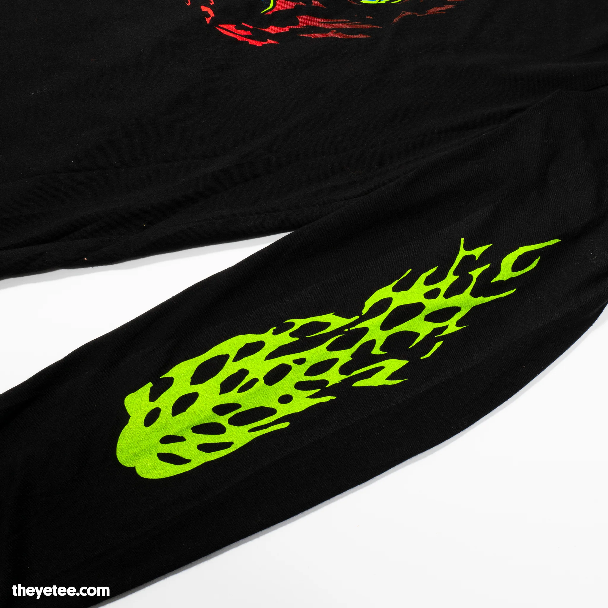 Brachydios - Image 3