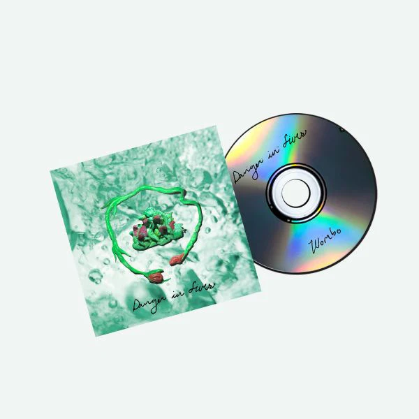 Danger In Fives CD