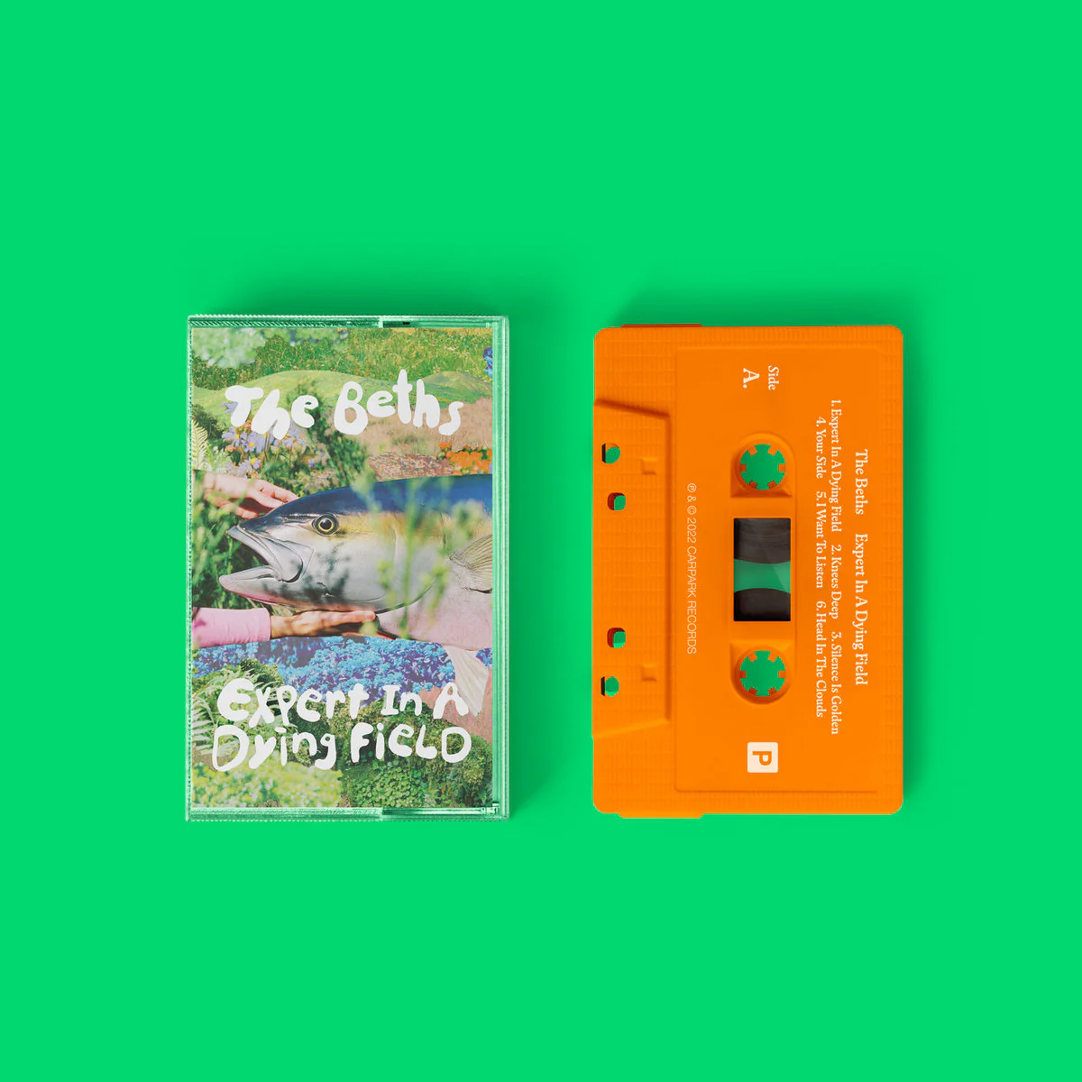 Expert In A Dying Field Cassette Tape
