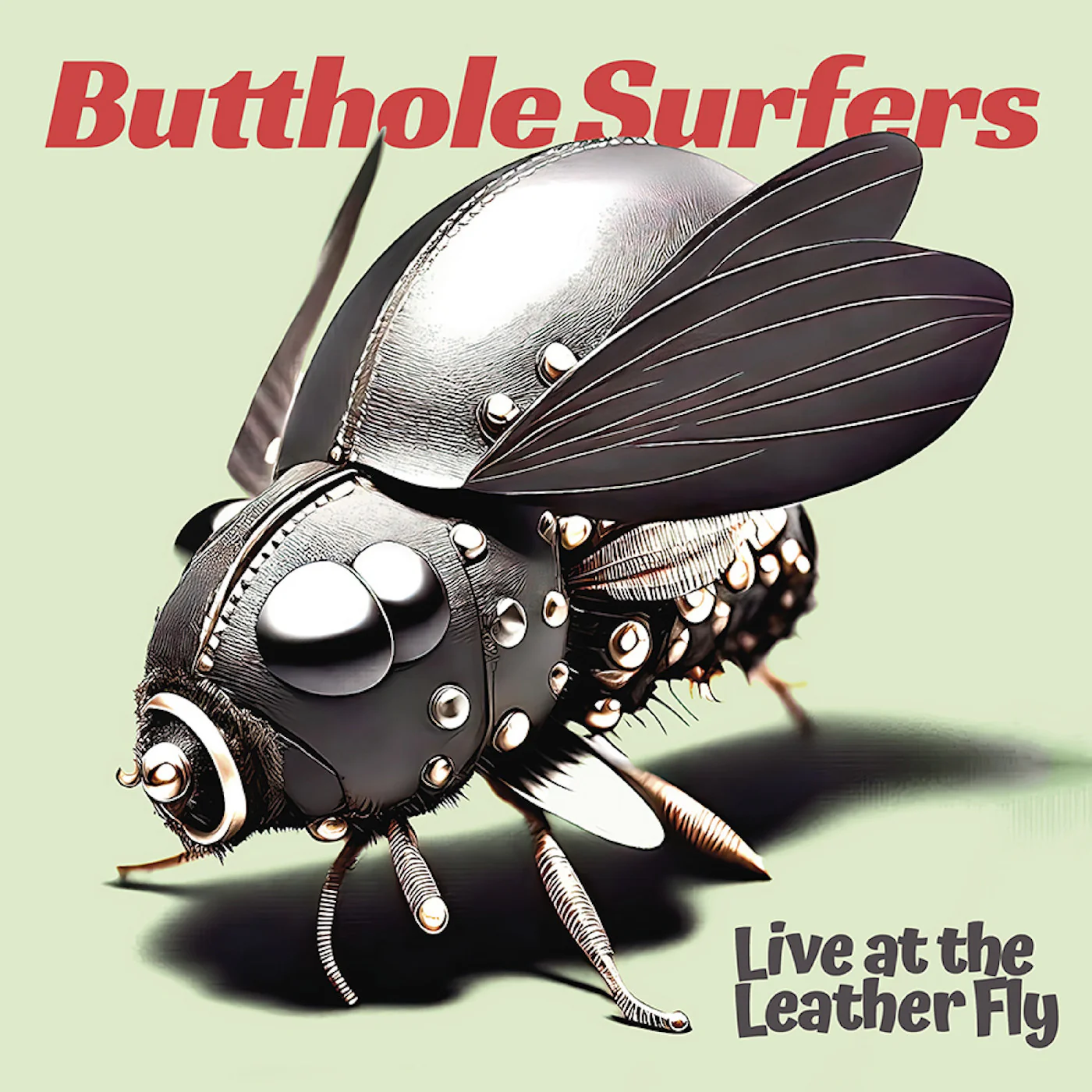 Live at the Leather Fly (Opaque Pink Vinyl) - Image 2