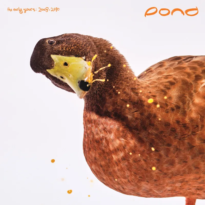 The Early Years: 2008 - 2010 (Mango Vision Vinyl)
